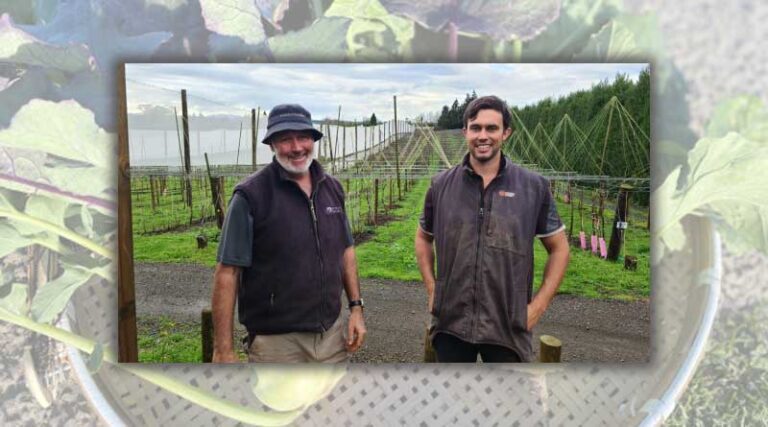 Little red gem sizing up on New Zealand orchards