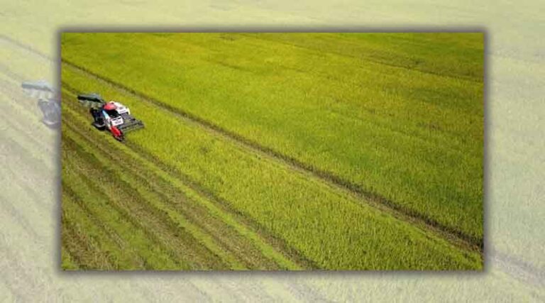 Action plan on green growth in agriculture