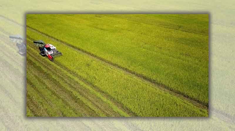 Action plan on green growth in agriculture
