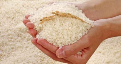 Report on NSW Rice Vesting Arrangements