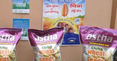 Asia Food Journal Article Explores Commercial Growth of Biofortification