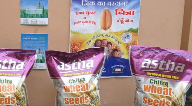 Asia Food Journal Article Explores Commercial Growth of Biofortification