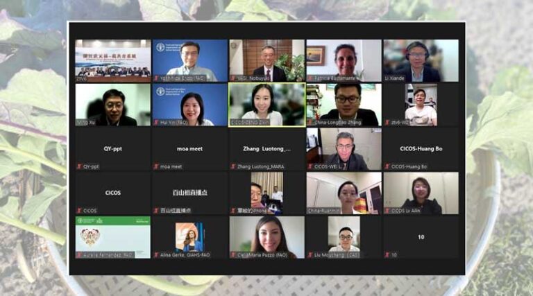 FAO Conducts Virtual Inspection over Qingyuan Forest-Mushroom Coculture System