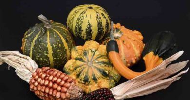 Bottle Gourd Varieties Suitable for growing in Kharif in Uttarakhand (Plains & Hills)
