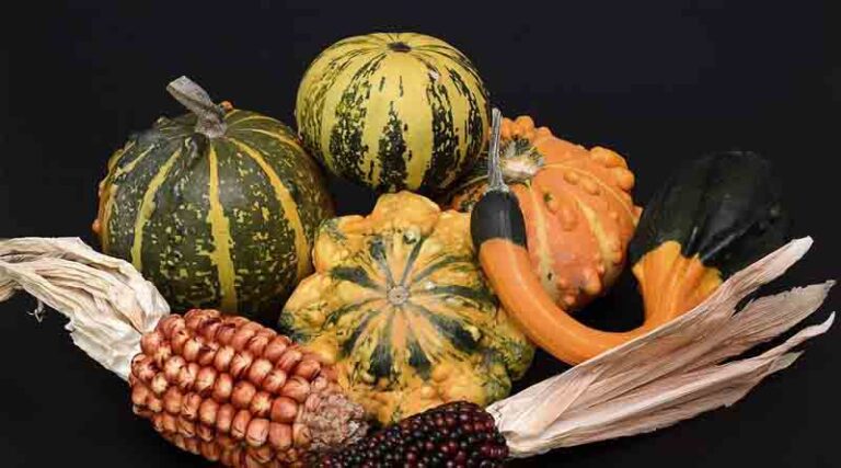 Bottle Gourd Varieties Suitable for growing in Kharif in Uttarakhand (Plains & Hills)