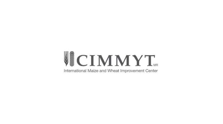CIMMYT is prominent in global climate-food systems conversations, new study shows