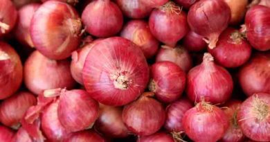 Punjab officials fear hoarding of vegetables; Traders to benefit from exports to Pakistan