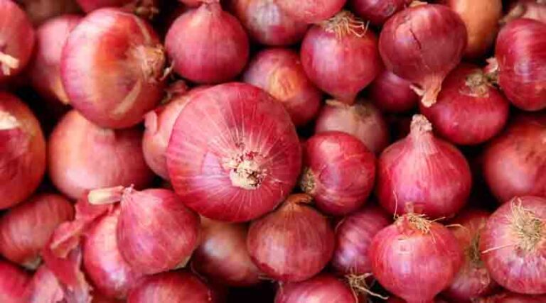 Punjab officials fear hoarding of vegetables; Traders to benefit from exports to Pakistan