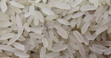 Central government bans export of broken rice