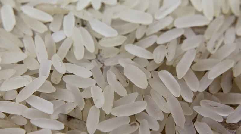 Central government bans export of broken rice