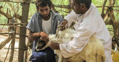 New $250 million USAID grant will boost FAO’s efforts to strengthen global health security and agrifood systems