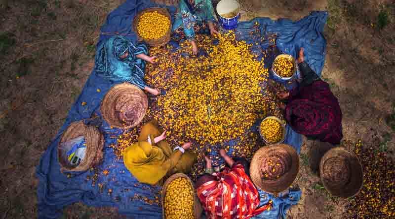 FAO’s Globally Important Agricultural Heritage Systems (GIAHS) mark 20th anniversary