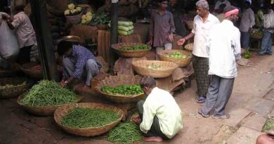 Total horticulture production estimated to be 342.33 million tonnes in the year 2021-22