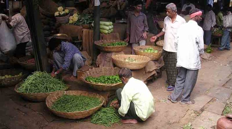 Total horticulture production estimated to be 342.33 million tonnes in the year 2021-22