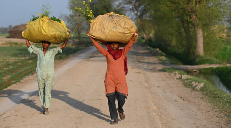 Asia-Pacific countries urged to rapidly transform agrifood systems as hopes fade for achieving the Sustainable Development Goals by 2030