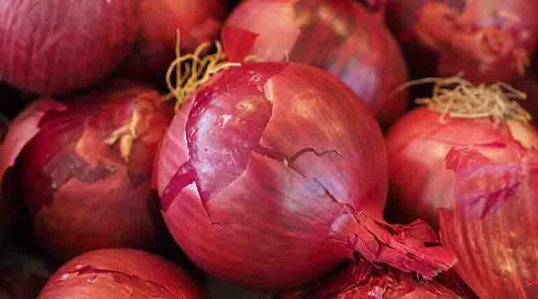 Onion prices in India may not rise for the next 3-4 months