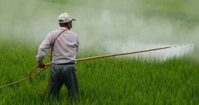 Indian farmers are using less agrochemicals shows data for FY2021-22