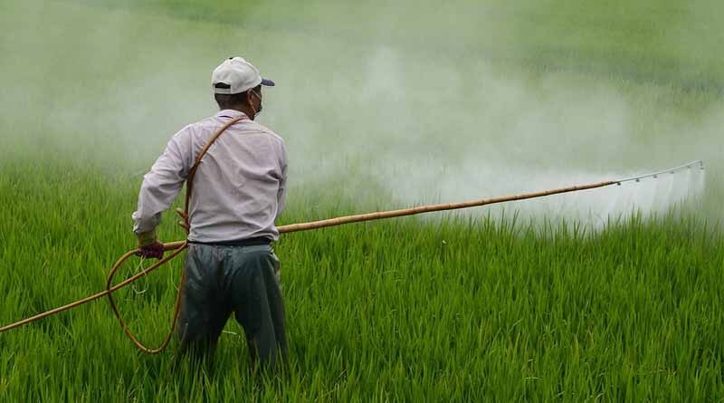 Indian farmers are using less agrochemicals shows data for FY2021-22