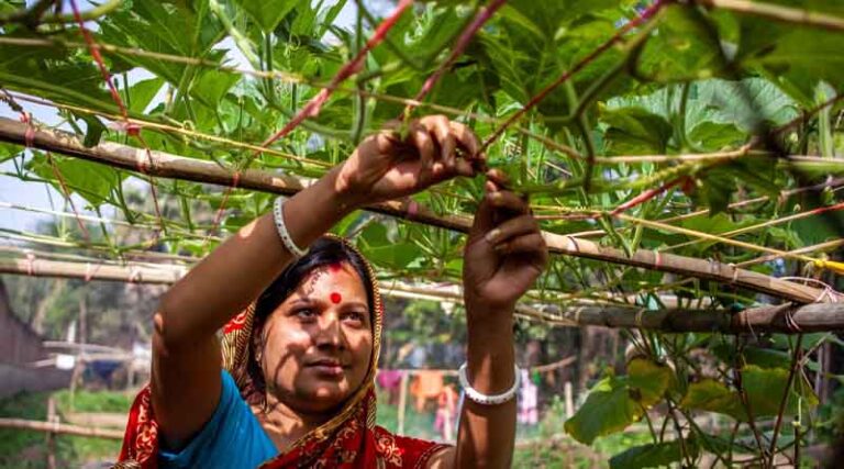 FAO’s Hand-in-Hand Initiative hits the ground running