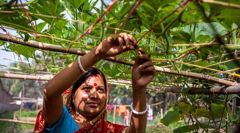 FAO’s Hand-in-Hand Initiative hits the ground running