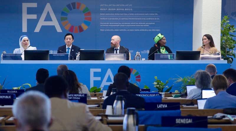 The world must halt deforestation and use forests sustainably, FAO Director-General says