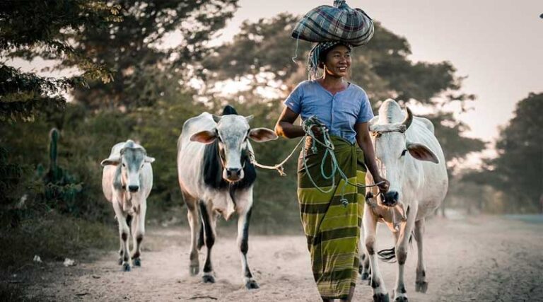 Human - Animal Interactions journal joins CABI’s publishing portfolio