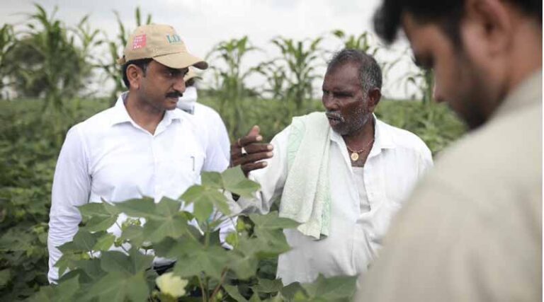 Louis Dreyfus Company Initiates New Program to Educate Smallholder Farmers on Sustainable Cotton Farming