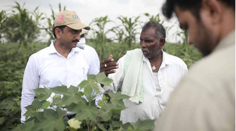 Louis Dreyfus Company Initiates New Program to Educate Smallholder Farmers on Sustainable Cotton Farming
