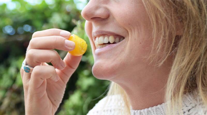 Spotlight on tomatoes: Opportunities and challenges in store