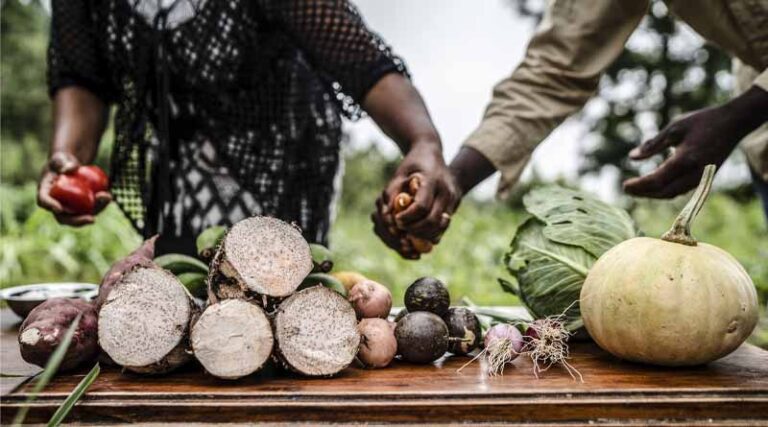 World Food Day 2022: Call to leave no one behind comes at critical juncture for global food security
