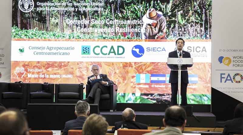 Central America’s Dry Corridor: Turning emergency into opportunities