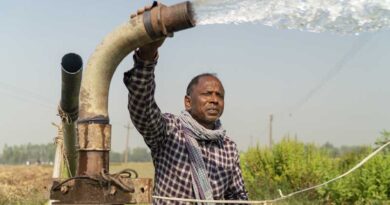 ACIAR: A New Pathway to Global Food Security