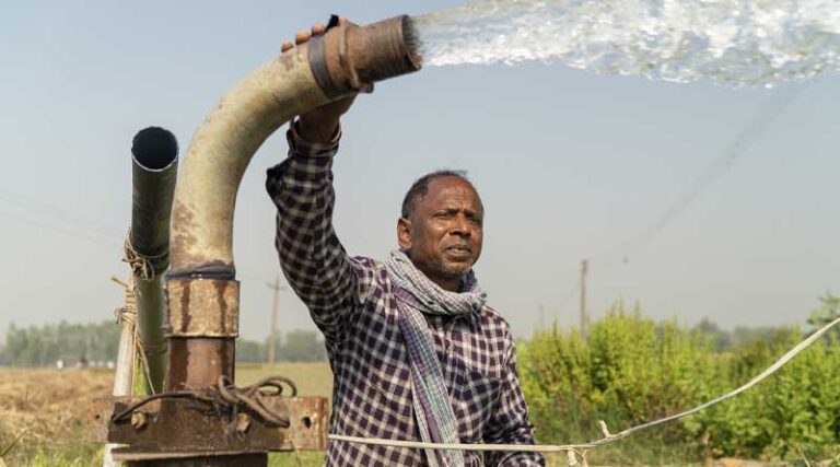 ACIAR: A New Pathway to Global Food Security