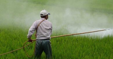 List of pesticides restricted and banned for use in Agriculture in India