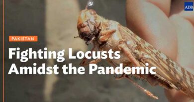 ADB Story highlights fight against desert locusts