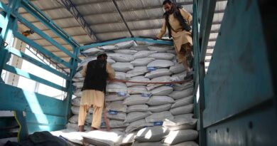 World Food Forum calls to keep trade in fertilizers open and increase their affordability and accessibility for farmers