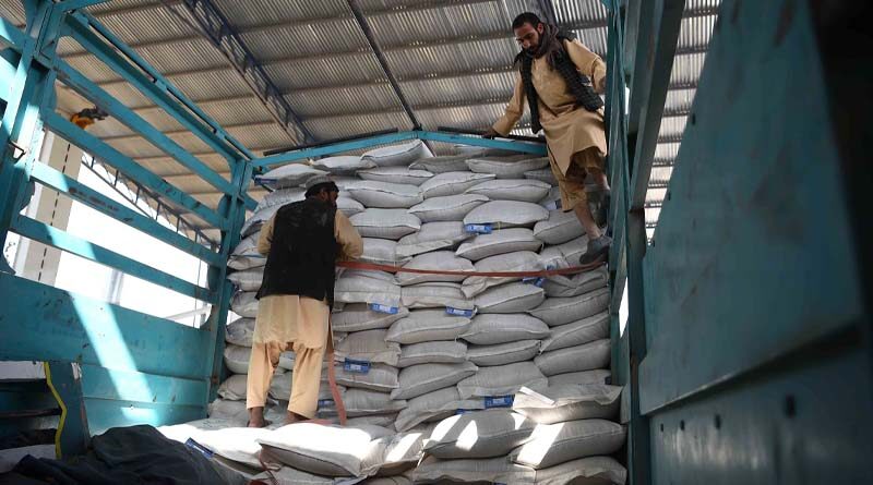 World Food Forum calls to keep trade in fertilizers open and increase their affordability and accessibility for farmers