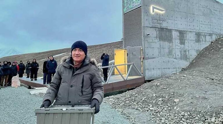CIMMYT delivers seed to Svalbard Global Seed Vault