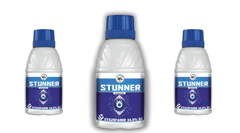 Insecticides India launched new fungicide Stunner for Downy Mildew disease in Grapes
