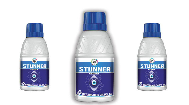 Insecticides India launched new fungicide Stunner for Downy Mildew disease in Grapes