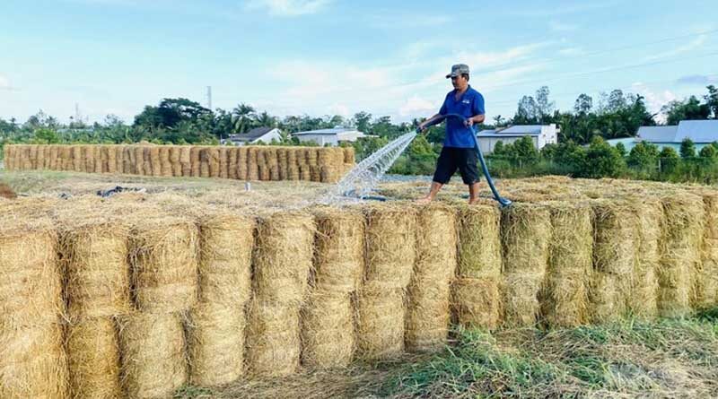 Hundreds of VND trillions of agricultural by-products are being wasted