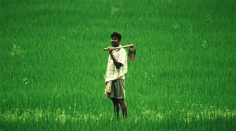 This time State had made record procurement of 52 lakh MT of paddy: Dushyant Chautala
