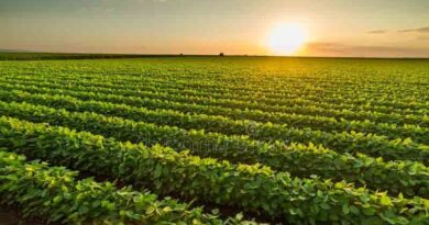Haryana Agriculture Minister visits Cranfield University in Bedford