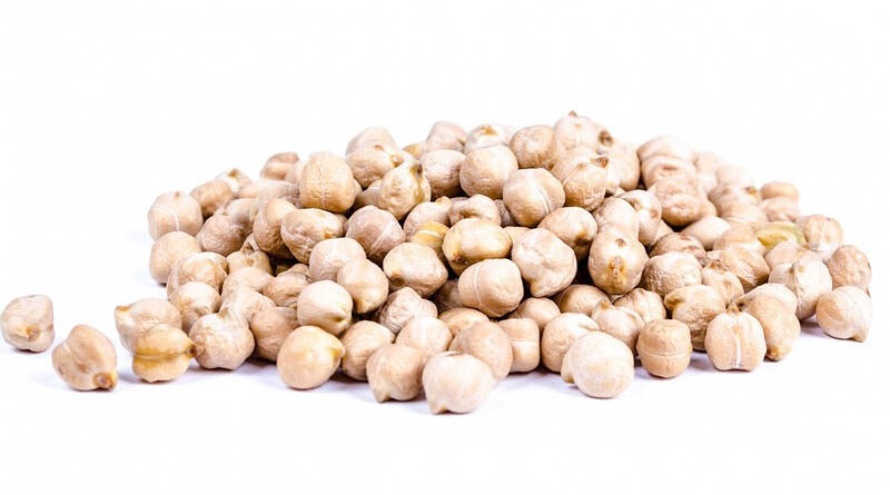 Chickpea 1