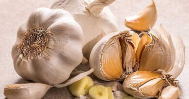 After a drastic drop in garlic prices, Gujarat farmers distribute garlic for free