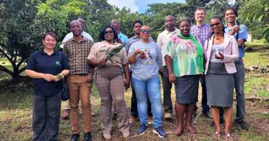 CABI supports fight against invasive species
