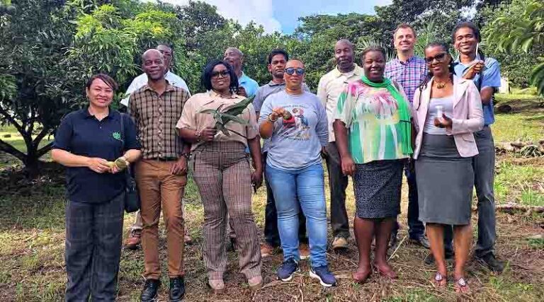 CABI supports fight against invasive species