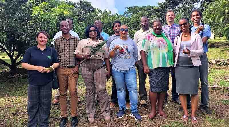 CABI supports fight against invasive species