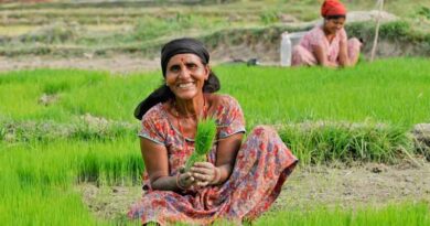 Smallholder Farmers Need Immediate, Actionable Solutions Now Says CGIAR Excellence in Agronomy Initiative (EiA) at COP 27
