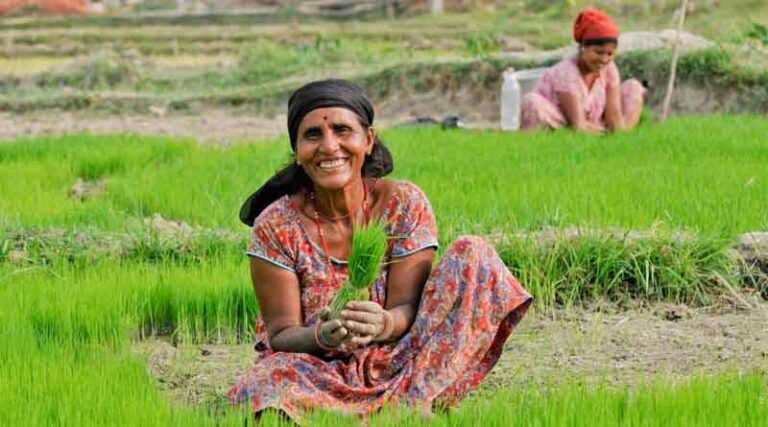 Smallholder Farmers Need Immediate, Actionable Solutions Now Says CGIAR Excellence in Agronomy Initiative (EiA) at COP 27